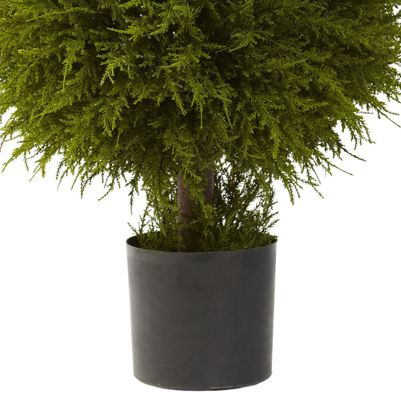 32'' Green Silk Cedar Ball Topiary in Black Planter