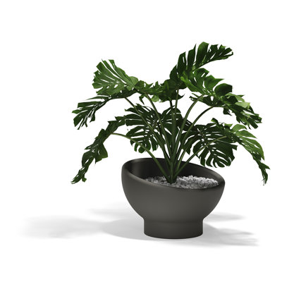 Luna Planter