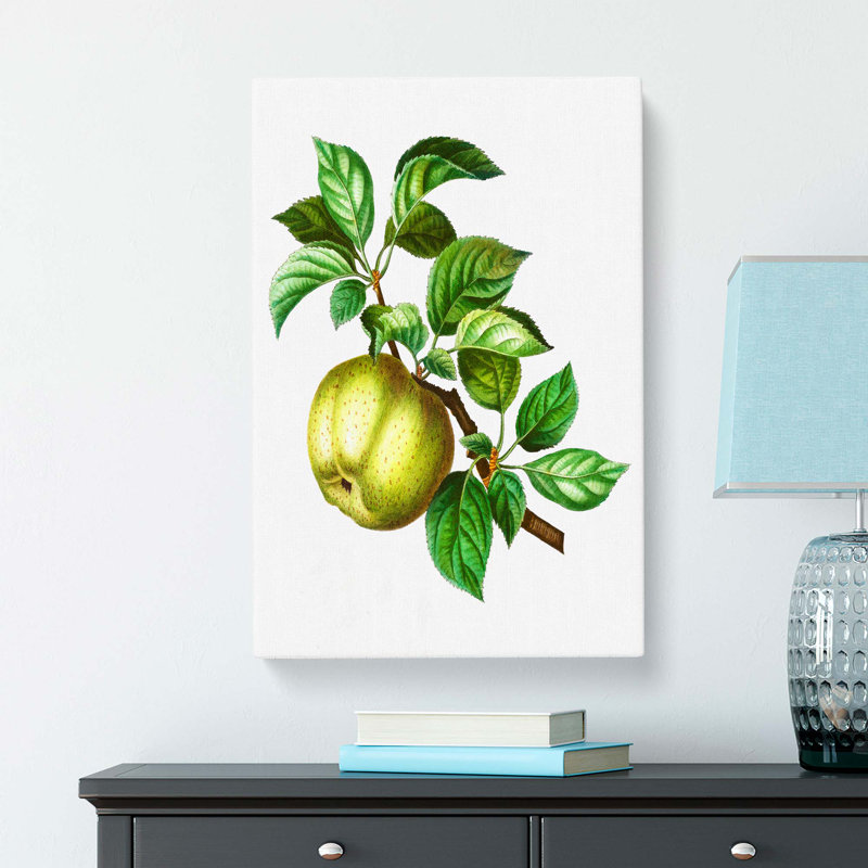 Green Apple by Pierre-Joseph Redoute - Wrapped Canvas, 76cm H x 50cm W x 3cm D
