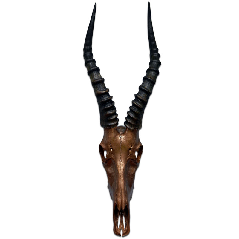 Real Blesbok Antelope Painted Bronze Skull