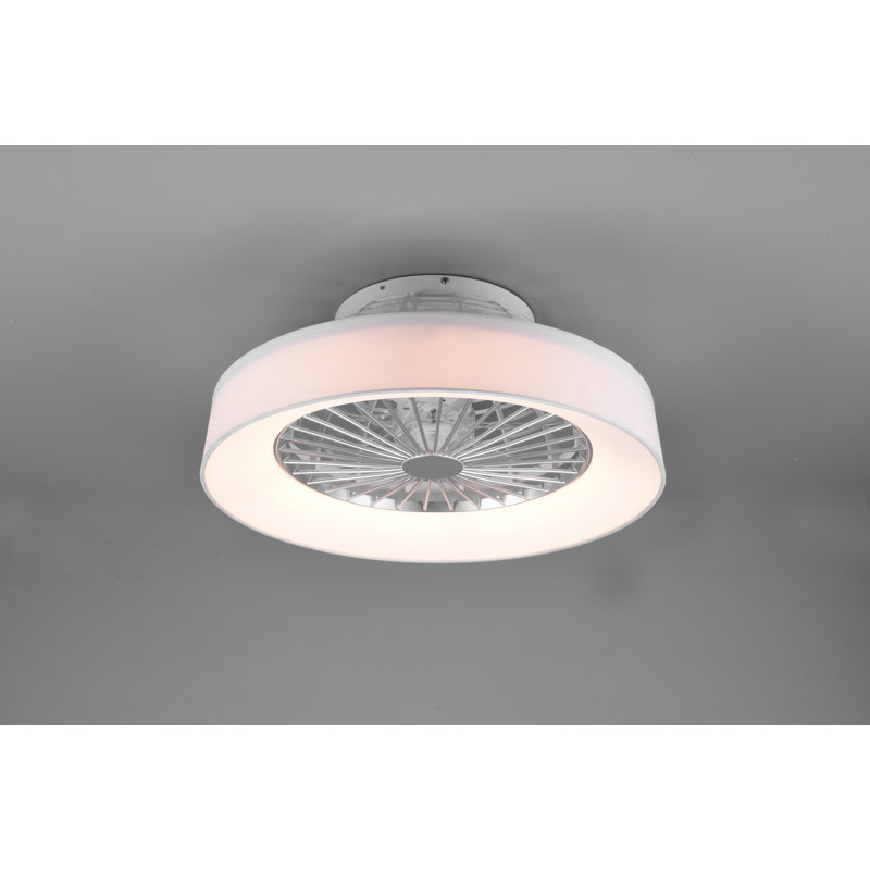 Abbie-Lea 47cm Ceiling Fan with LED Lights, White