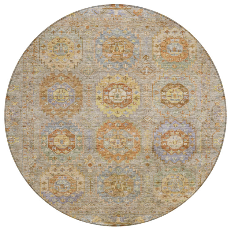 Machine Washable Indoor/Outdoor Kadyn ACN2227 Panel Rug