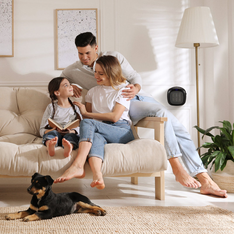 Good Housekeeping Wall-Mount Indoor Mini Space Heater w/ Thermostat, 750W, Black, Black