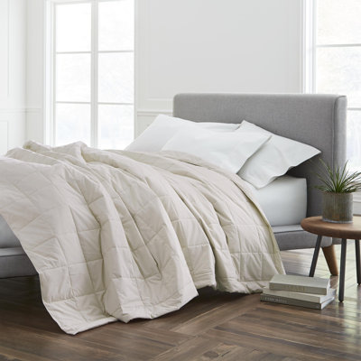 EcoPure Filled 100% Cotton Cover Solid Blanket