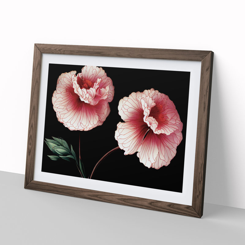 Sparkling Carnation Flowers - Framed Print, 46cm H x 64cm W x 2cm D, Walnut