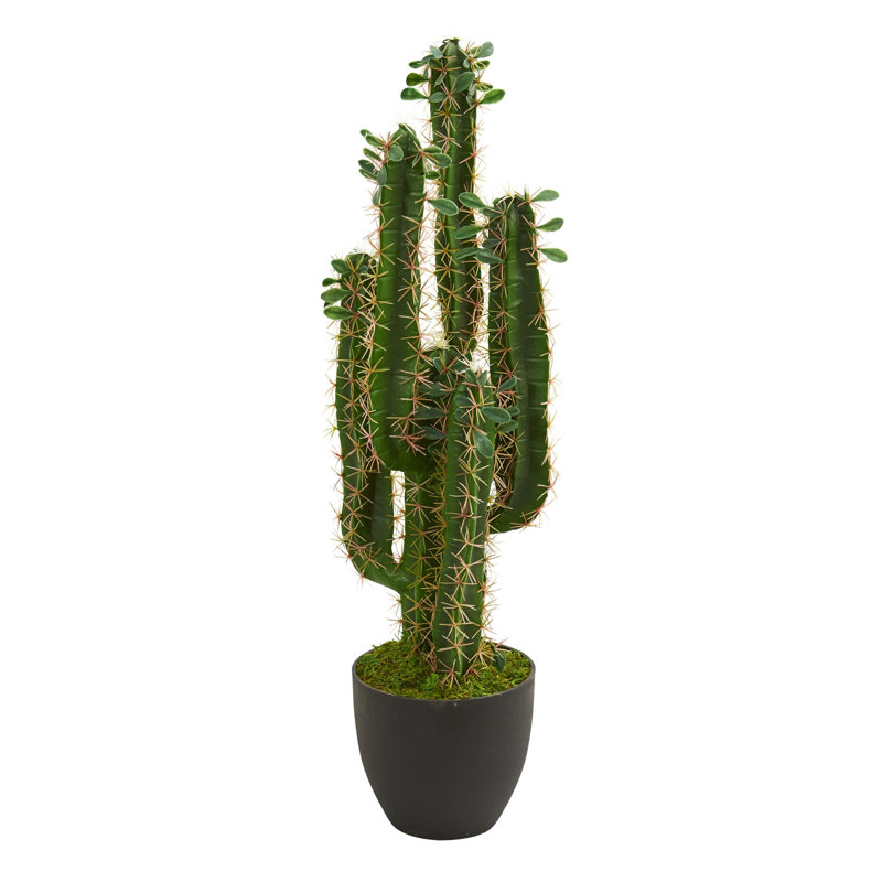 Cactus Artificial Plant