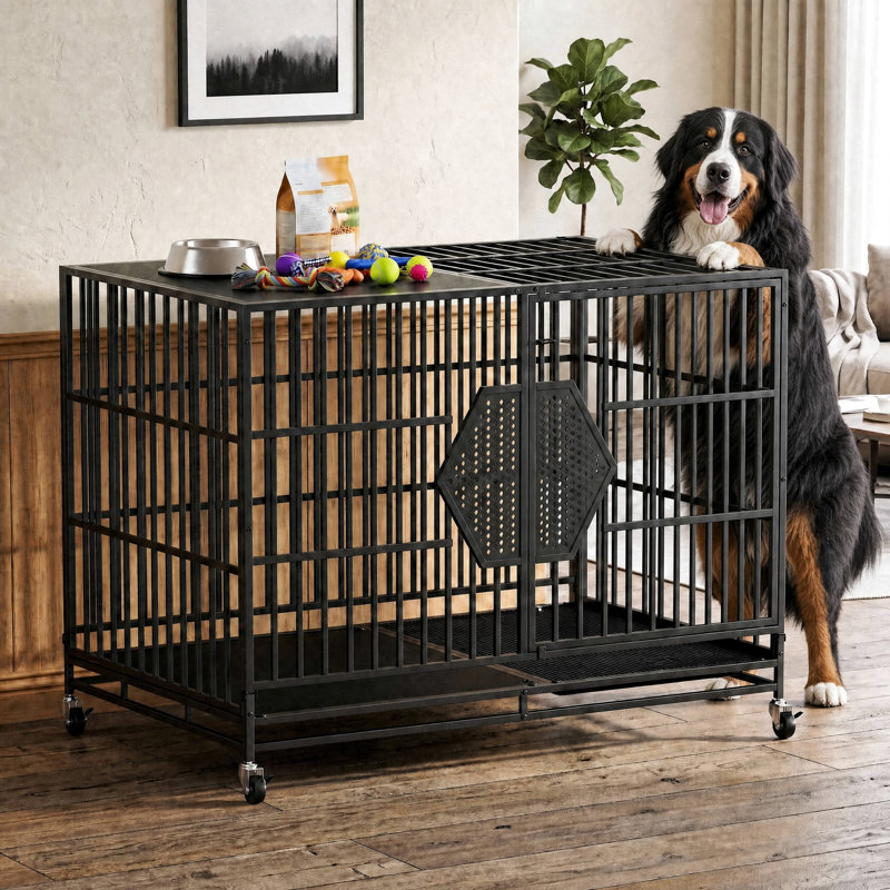 Cage pour chien 48 pouces pliable robuste pour grands chiens