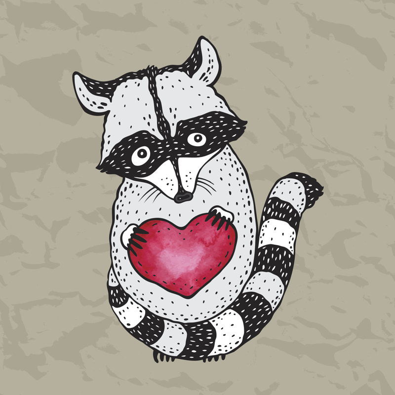 Arjane Cute Raccoon - Wrapped Canvas Print, 30cm H x 30cm W x 3.8cm D