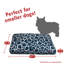 Coussin Fusion Orthopedic-35291720-35291723