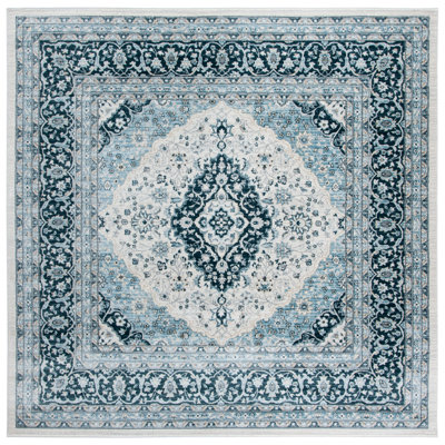 Delmer Performance Oriental Rug