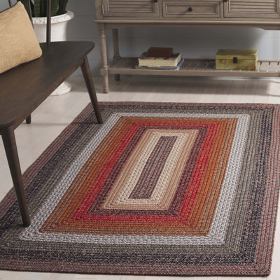 Braided 323 Area Rug In Brown / Rust