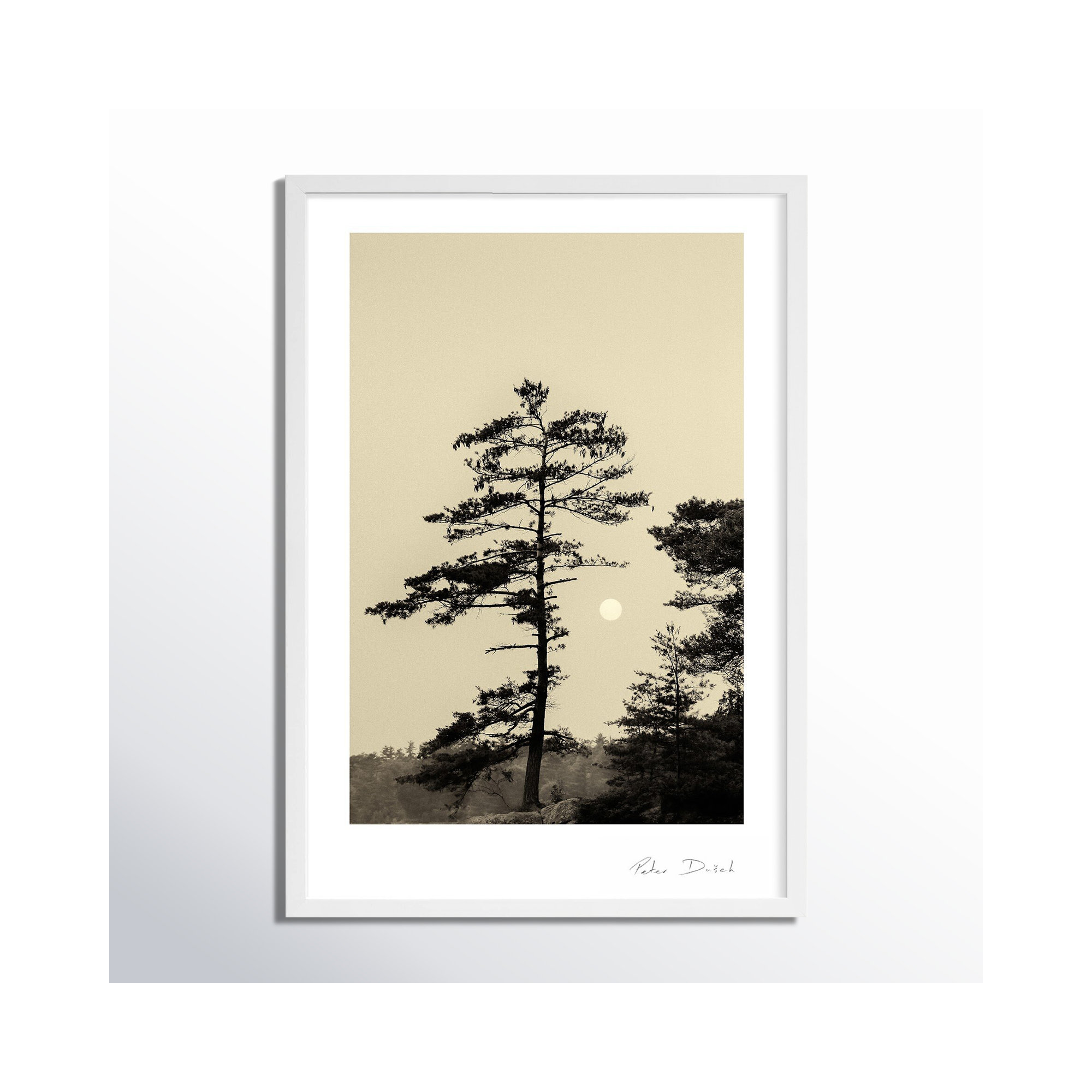 Serenity by Peter Dušek, 20" H x 14" W x 1.25" D, White