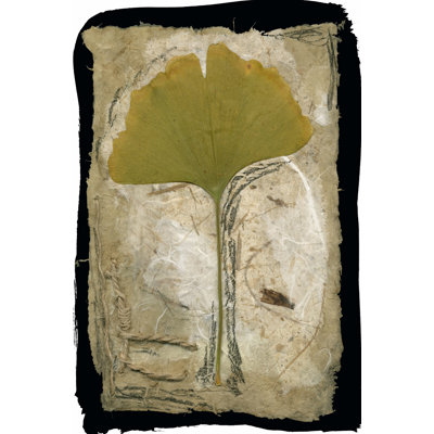 Feuilles de Kyoto II