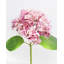 Small White Hydrangea 18"-1386890572