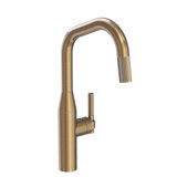 Muncy Single Handle Pull Down Kitchen Faucet