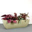 Wibrand ECOBO Pot de fleurs rectangulaire d'intérieur / extérieur Capri-850801517-850801515