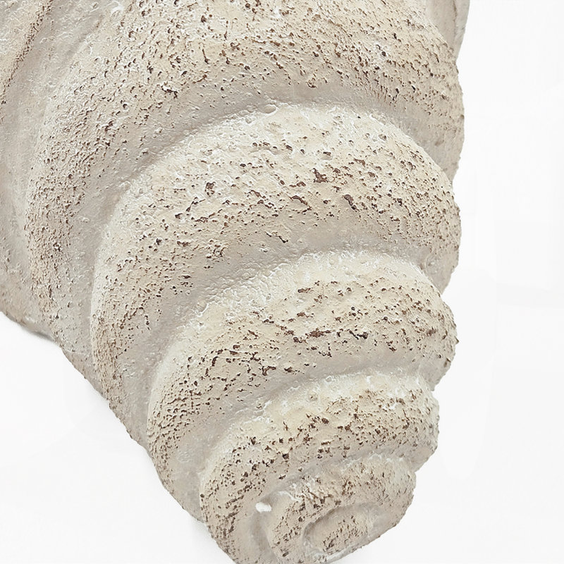 Ornement décoratif en forme de coquillage et sable en forme de coquillage pour jardin, ensemble de 1