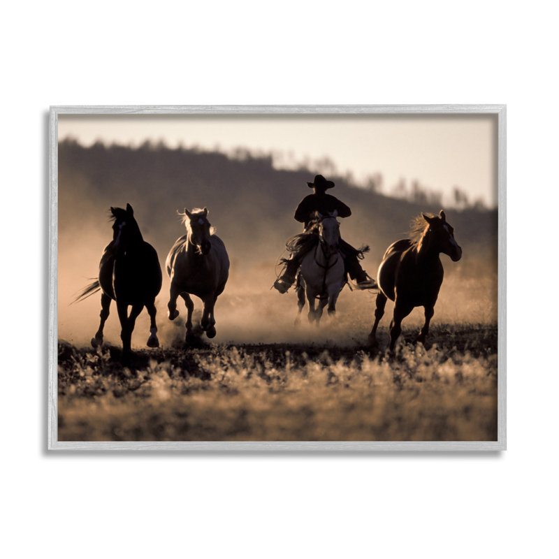 Ba-320-Framed " Southwestern Cowboy At Sunset " by Danita Delimont, Farmhouse Grey Framed Giclee, 11" H x 14" W x 1.5" D