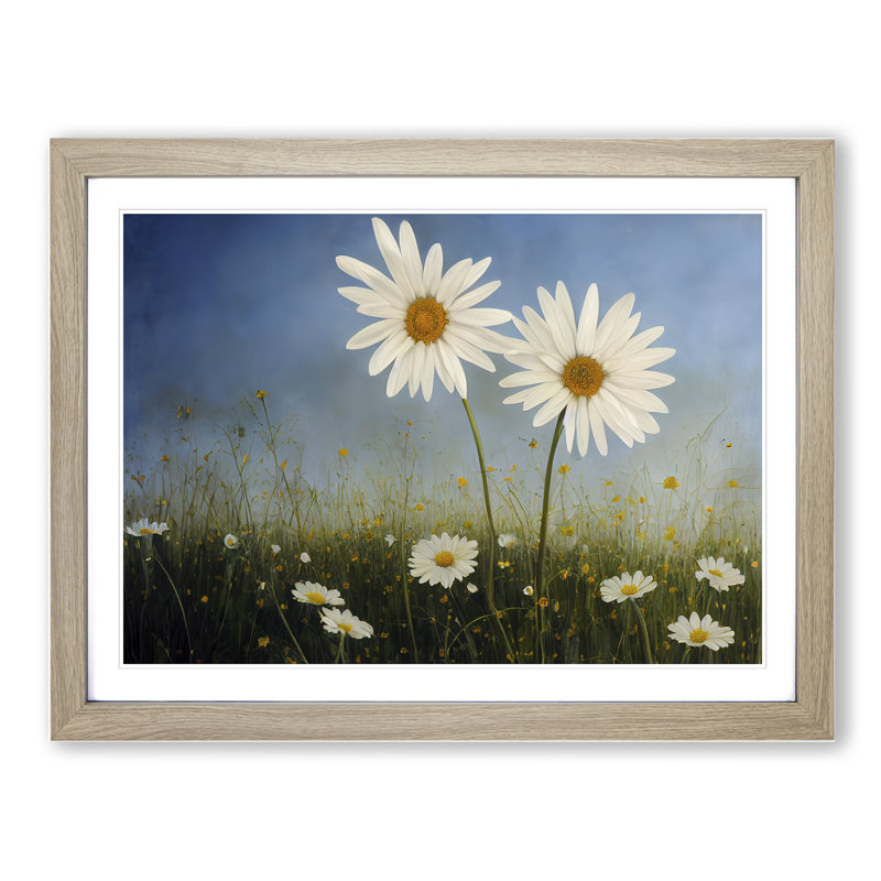 Engaging Daisy Flowers - Single Picture Frame Print, 25cm H x 34cm W x 2cm D, Oak Framed
