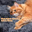 Multilevel 150cm Cat Tree-1689558094