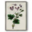 AntiqueFloralFolioIX, reproduction encadrée - bois massif-1285044609
