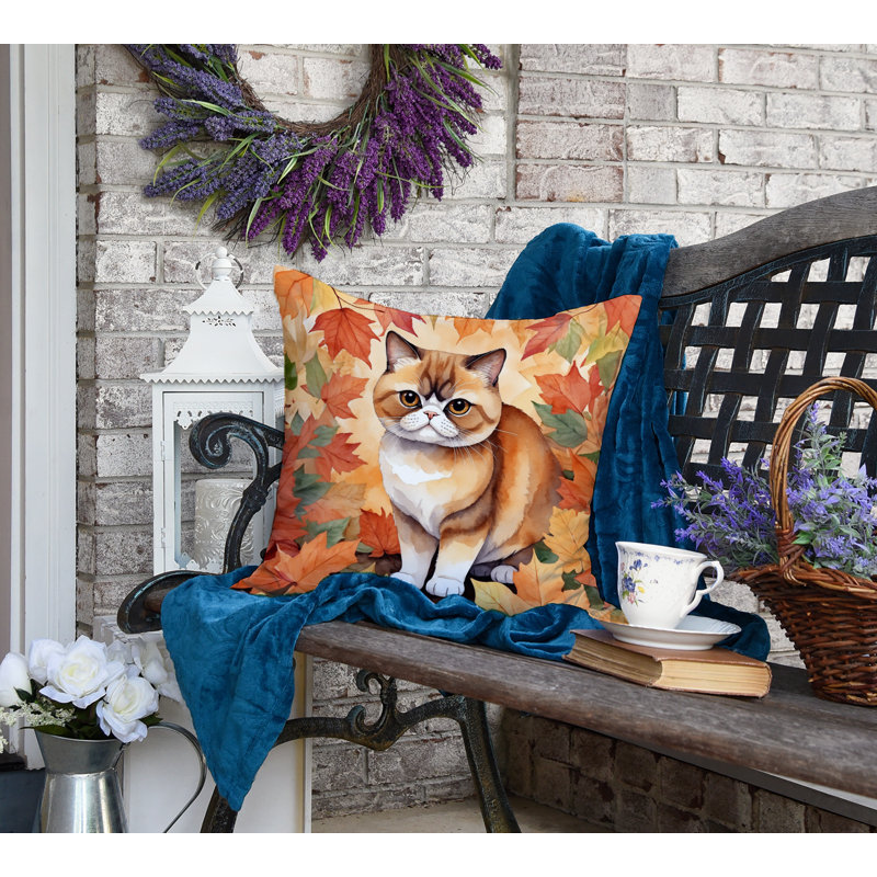 Coussin Exotic Shorthair, Carré 18 po