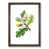 Walnut Framed