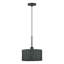 Luminaire suspendu noir 1 lumière Adabella