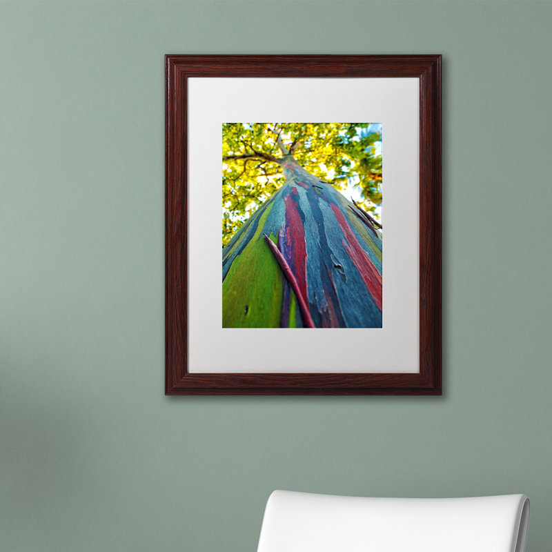 « arc-en-ciel eucalyptus », reproduction de photo encadrée, H 14 po x l 11 po x P 0,5 po