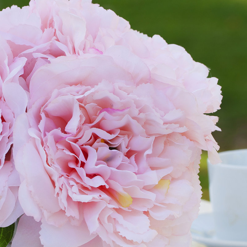 Arrangements floraux d'hortensias en pot, Rose