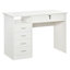 Fernandeo Metal Base Computer Desk-191016082