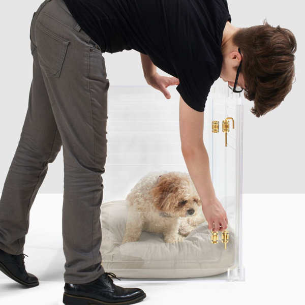 Clear Acrylic Dog Crate & Gate for Small Dogs | Wunderpets / Brass