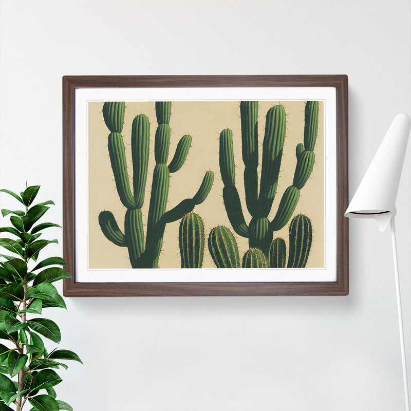 A Contemporary Cactus - Framed Print, 46cm H x 64cm W x 2cm D, Walnut