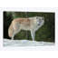 «Gray Wolf in Snow», impression sur toile-33109376-72397808-72397814