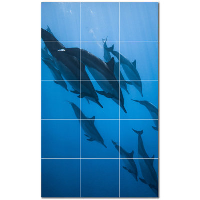 Murale décorative en céramique 6 "x 6" Dolphin Photo