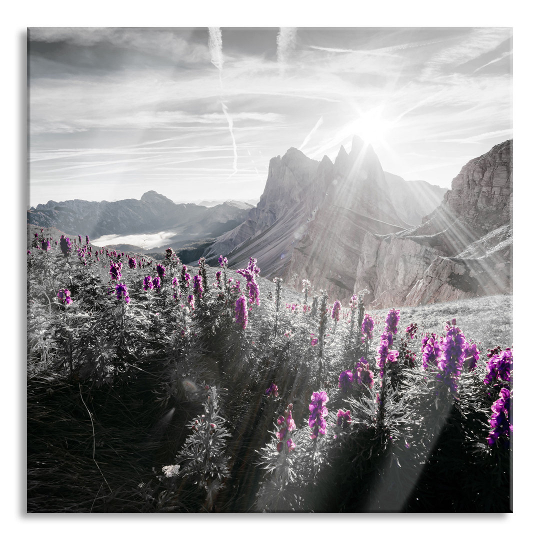 Glasbild Bergwiese im Naturpark Puez-Geisler. Ausschnitt