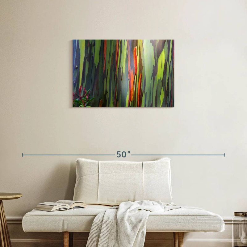 Harnek Rainbow Eucalyptus Bark, 20" H x 30" W