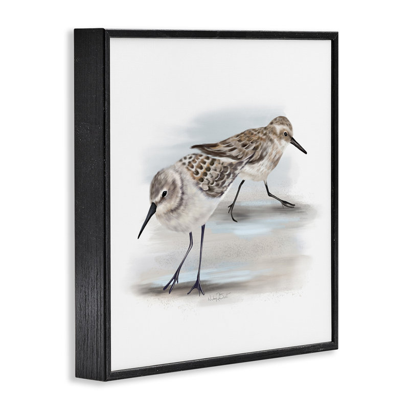 Paire de bécasseaux sur une plage de sable - Petits oiseaux nautiques - Peinture, Giclée encadrée noir minuit