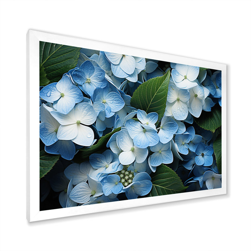 «Blue Hydrangea Field», vue aérienne sur toile, H 34 po x l 44 po x P 1,5 po, Cadre photo blanc