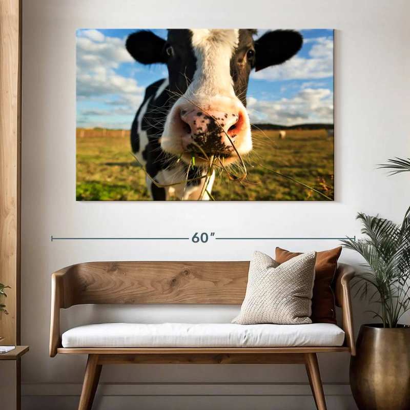 Brampt Cow Selfie, 34" H x 51" W