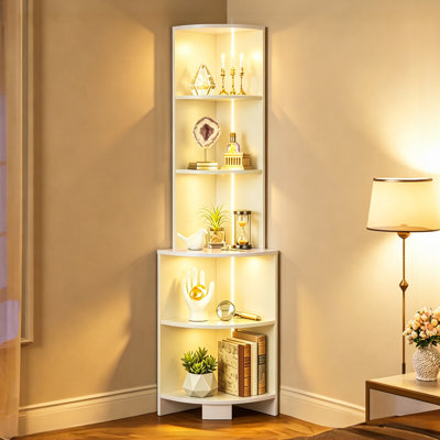 167cm H x 35cm W Bookcase
