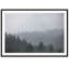 Redwoods In The Fog Print by Carly Tabak-73336127-73336128