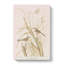 Finches & Butterflies by John Audubon - Wrapped Canvas-55304030