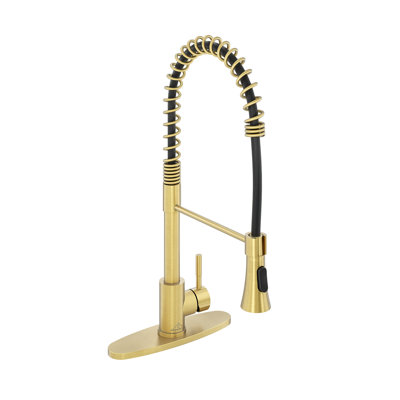 Robinet de cuisine Spring standard avec douchette à double fonction et plaque de pont