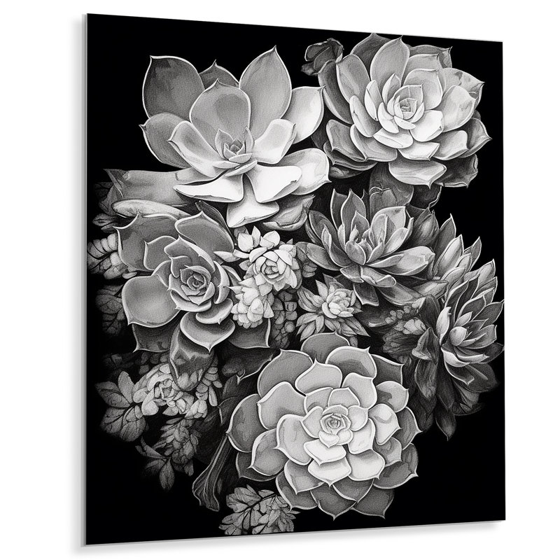 «Grey Black Succulent Resilience», impressions murales florales en métal, H 20 po x l 12 po x P 1 po