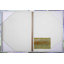 10 Little Rubber Ducks Character Art Duckings 2 - Painting on Canvas-1321443924