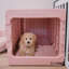 PAWD® | Modern Dog & Pet Crate - Caisse pliable pour chiens-1414941545-1414941549