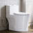 Arlo Compact One Piece Toilet with Comfort Chair Seat ADA Height 17.3", Elongated Dual Flush 0.8/1.28 GPF -100710177
