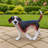 Lifelike Beagle Dog Statue
