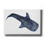 «Shark Whale 1» par Stellar Design Studio-1221951452